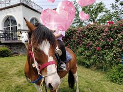 -紫颐香薰山谷景区