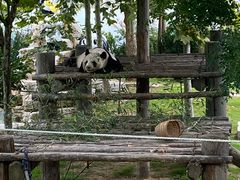 -西霞口神雕山野生动物世界