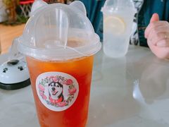 -Husky Go! 哈士奇体验馆·宠物咖啡厅狗咖