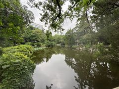 -叶家花园