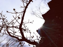 -广富林郊野公园