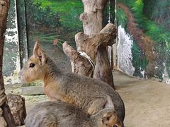 -正佳雨林生态植物园