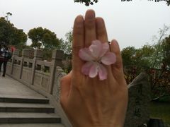 -南汇桃花村