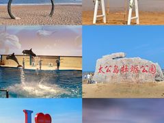 -日照海滨国家森林公园