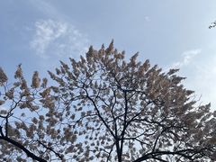 -红星桥(地铁站)