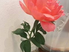 -AFS Cafe & Canteen(闽江二路店)
