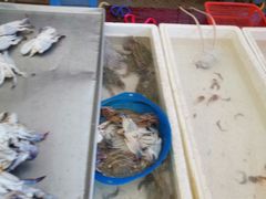 -重振华中蔬菜批发市场(重庆中路店)