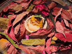 -地球美食剧场