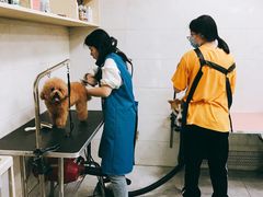-优米宠物美容(体育场路店)