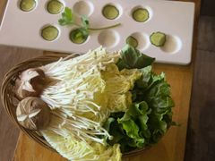 -同仁四季椰子鸡(宝安壹方城店)