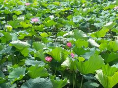 -韶山毛泽东同志故居