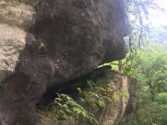 -西岭雪山大飞水景区