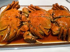 醉熟毛蟹-三玛璐酒楼(汉口路店)