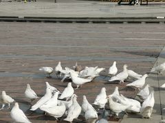 -泰达航母主题公园