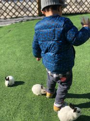 -萌宠亲子动物乐园(槐房万达店)