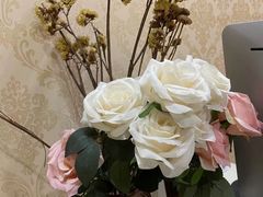 -宁波壹加壹口腔·矫正种植中心