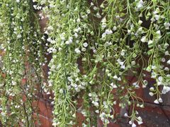 -RoMan罗马健身工作室(莘庄店)