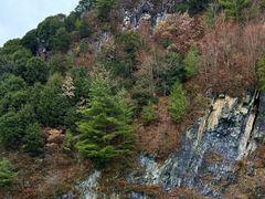 -秦岭风景区