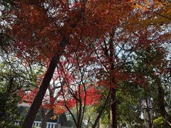 -云龙山