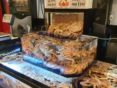 -蟹道乐(道顿堀本店)