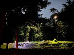-夜间野生动物园