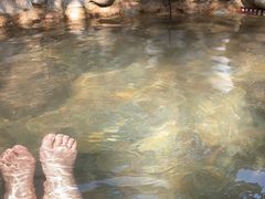 -深业半汤御泉庄温泉