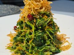 低卡巧手拌豆苗-四季民福烤鸭店(外滩外白渡桥店)