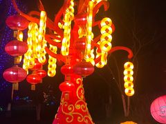 -武汉园博园(武汉自然博物馆)