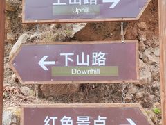 -大岭沟猕猴桃谷风景区