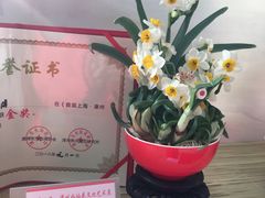 -龙大花卉苗木市场