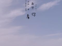 -塘沽森林公园