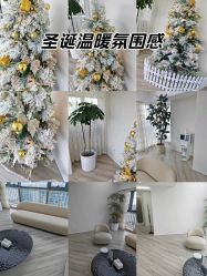 -HEYAN荷妍专业脱毛连锁机构