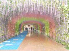 -济南方特东方神画