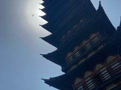 -上海方塔园