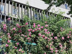 -中国石油大学（北京）(北京西校区)