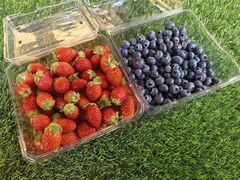 -南坛综合农贸市场