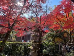 -常寂光寺