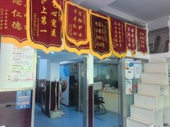 -顺强宠物诊所·狂犬免疫·夜诊·骨科(嘉定店)