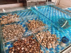 活海鲜-87号烧烤海鲜·大排档(金沙滩店)