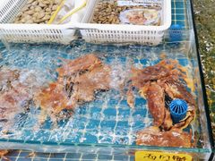 -醉壹号海鲜大排档(厦门美食地标店)