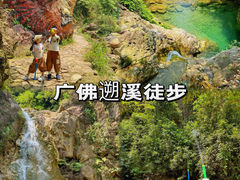 -南海湾森林生态园