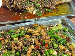 -铁山坪森林公园