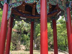 -文瀛公园