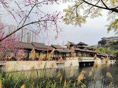 -重庆彩云湖湿地公园