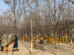 -草根堂农场