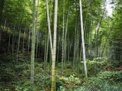 -黄公望隐居地