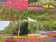 -石家庄市植物园