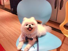 -DQ·蛋糕·冰淇淋(苏州中心店)