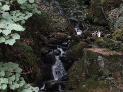 -藏龙百瀑风景区