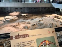 -自贡恐龙博物馆